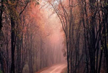 米兰体育：三千名选手竞技北京奥运城市体育文化节RUN GIRLS女子跑.