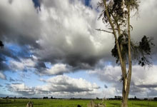 威爾士邊鋒貝爾外號大聖的由來.